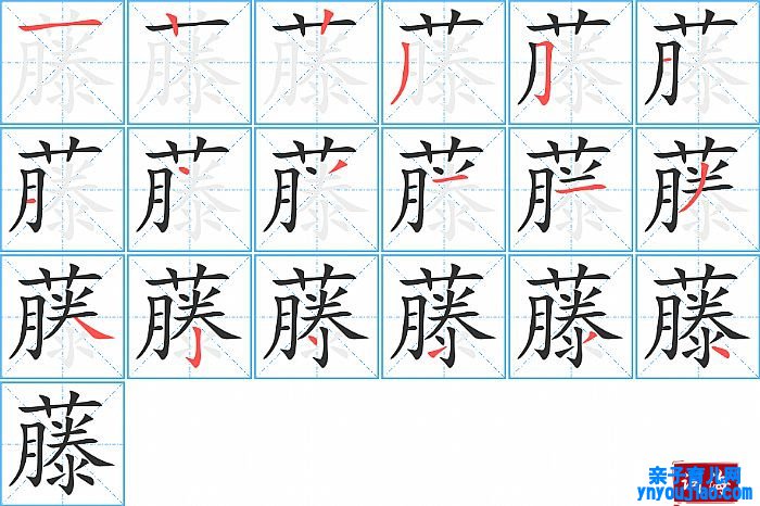 藤的笔顺、笔画