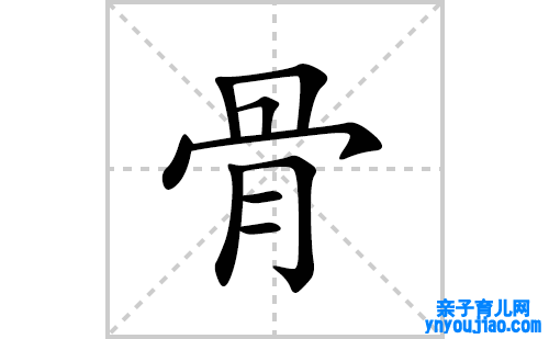 骨的笔顺笔画怎么写(骨的拼音、部首、表明及成语解读)