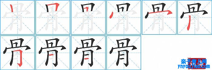 骨的笔顺、笔画
