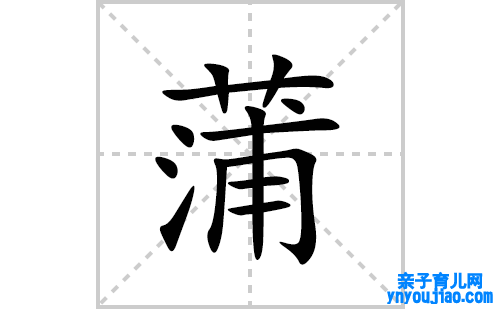 蒲的笔顺笔画怎么写(蒲的拼音、部首、表明及成语解读)