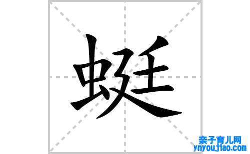 蜓的笔顺笔画怎么写(蜓的拼音、部首、表明及成语解读)