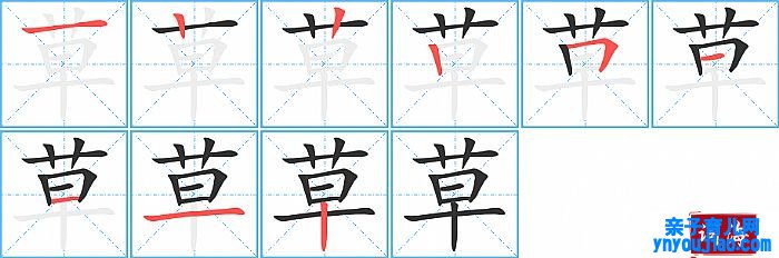 草的笔顺、笔画