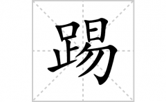 踢的笔顺笔画怎么写(踢的拼音、部首、解释及成语解读)