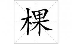 棵的笔顺笔画怎么写(棵的拼音、部首、解释及成语解读)