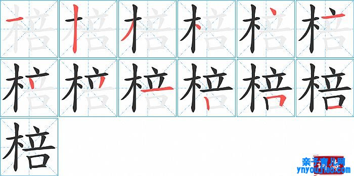 棓的笔顺、笔画
