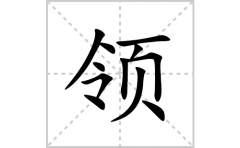领的笔顺笔画怎么写(领的拼音、部首、解释及成语解读)