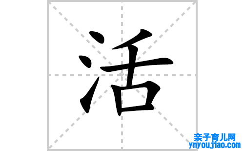 活的笔顺笔画怎么写(活的拼音、部首、表明及成语解读)