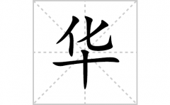 华的笔顺笔画怎么写(华的拼音、部首、解释及成语解读)