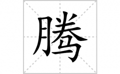 腾的笔顺笔画怎么写(腾的拼音、部首、解释及成语解读)