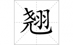 翘的笔顺笔画怎么写(翘的拼音、部首、解释及成语解读)