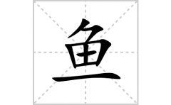 鱼的笔顺笔画怎么写(鱼的拼音、部首、解释及成语解读)