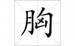 胸的笔顺笔画怎么写(胸的拼音、部首、解释及成语解读)
