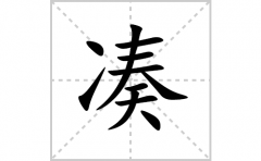 凑的笔顺笔画怎么写(凑的拼音、部首、解释及成语解读)