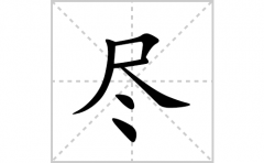 尽的笔顺笔画怎么写(尽的拼音、部首、解释及成语解读)