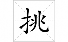 挑的笔顺笔画怎么写(挑的拼音、部首、解释及成语解读)