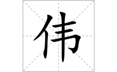 伟的笔顺笔画怎么写(伟的拼音、部首、解释及成语解读)