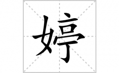 婷的笔顺笔画怎么写(婷的拼音、部首、解释及成语解读)