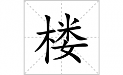 楼的笔顺笔画怎么写(楼的拼音、部首、解释及成语解读)
