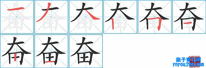 奋的笔顺、笔画