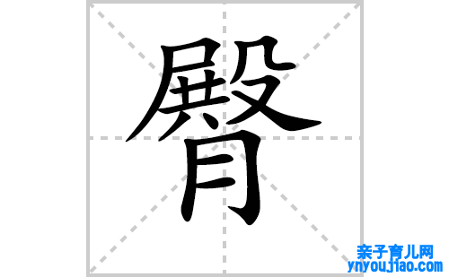 臀的笔顺笔画怎么写(臀的拼音、部首、表明及成语解读)
