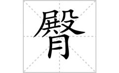 <b>臀的笔顺笔画怎么写(臀的拼音、部首、解释及成语解读)</b>