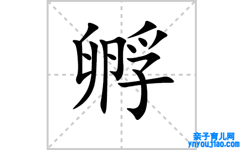 孵的笔顺笔画怎么写(孵的拼音、部首、表明及成语解读)