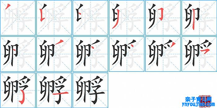 孵的笔顺、笔画