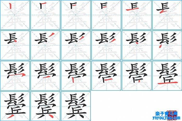 鬓的笔顺、笔画