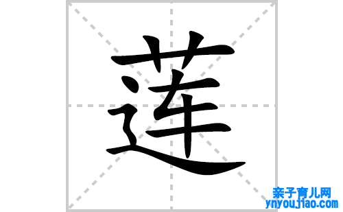 莲的笔顺笔画怎么写(莲的拼音、部首、表明及成语解读)