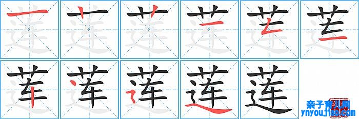 莲的笔顺、笔画