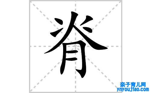 脊的笔顺笔画怎么写(脊的拼音、部首、表明及成语解读)