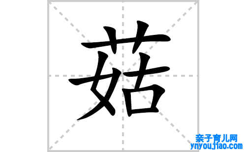 菇的笔顺笔画怎么写(菇的拼音、部首、表明及成语解读)