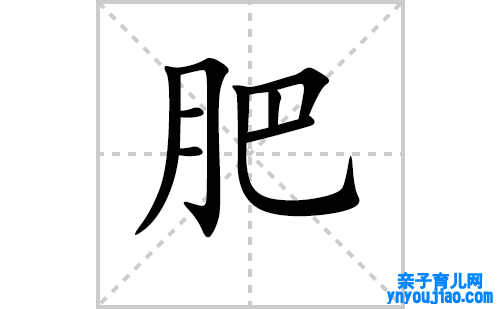 肥的笔顺笔画怎么写(肥的拼音、部首、表明及成语解读) 