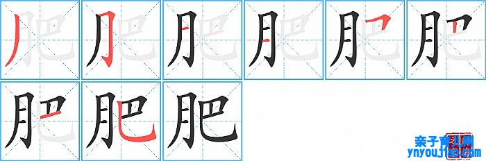 肥的笔顺、笔画