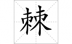 棘的笔顺笔画怎样写？解析棘的笔画、拼音、意思及词语组词