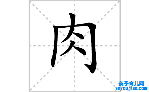 肉的笔顺笔画怎么写（肉的笔画、拼音、表明及成语详解）