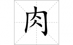 肉的笔顺笔画怎样写？解析肉的笔画、拼音、意思及词语组词