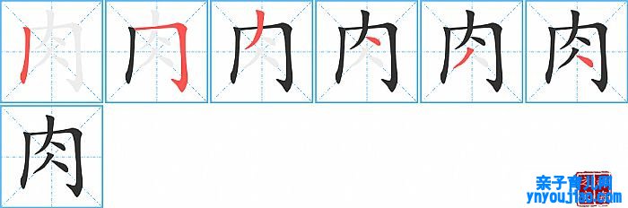 肉的笔顺、笔画