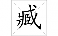 臧的笔顺笔画怎样写？解析臧的笔画、拼音、意思及词语组词