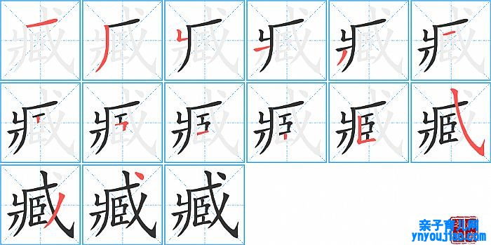 臧的笔顺、笔画