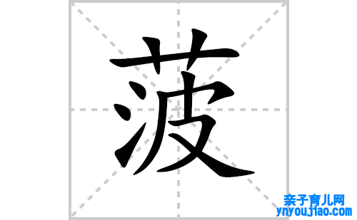 菠的笔顺笔画怎么写（菠的笔画、拼音、表明及成语详解）