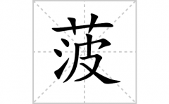 菠的笔顺笔画怎样写？解析菠的笔画、拼音、意思及词语组词