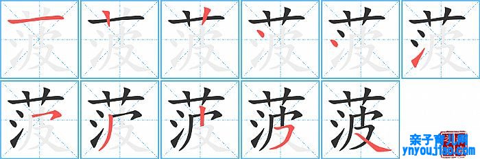 菠的笔顺、笔画