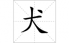 犬的笔顺笔画怎样写？解析犬的笔画、拼音、意思及词语组词