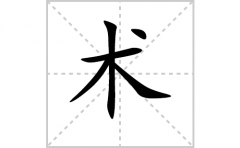 术的笔顺笔画怎样写？解析术的笔画、拼音、意思及词语组词