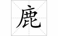 鹿的笔顺笔画怎样写？解析鹿的笔画、拼音、意思及词语组词