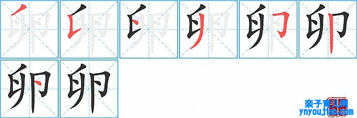 卵的笔顺、笔画