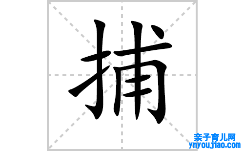 捕的笔顺笔画怎么写（捕的笔画、拼音、表明及成语详解）