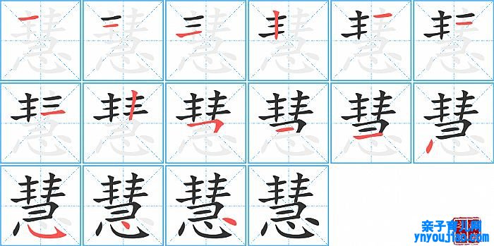 慧的笔顺、笔画