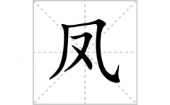 凤的笔顺笔画怎样写？解析凤的笔画、拼音、意思及词语组词